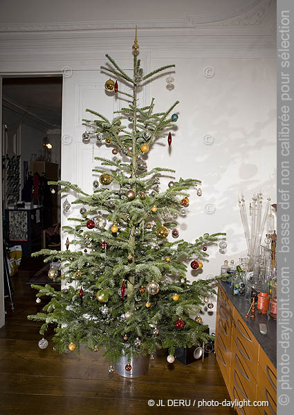 sapin de Nol